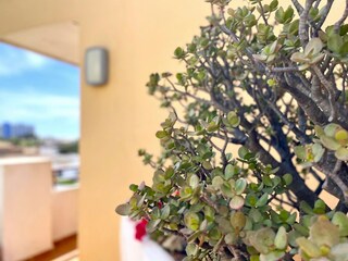 Appartamento Roquetas de Mar  40