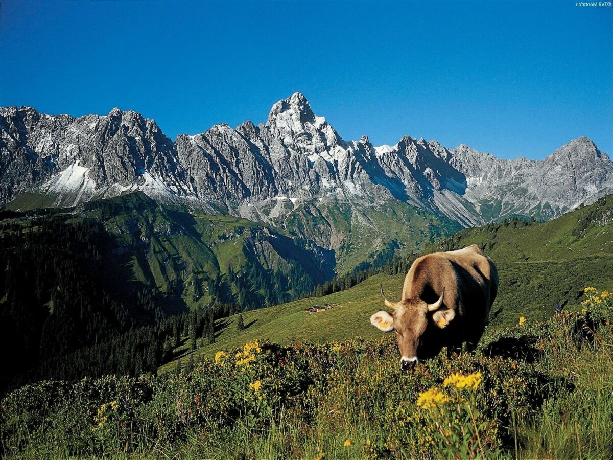 Apartment Silvretta Nova Ausstattung 4