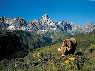 Appartement Silvretta Nova Équipement 5
