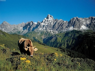Apartment Silvretta Nova Umgebung 37