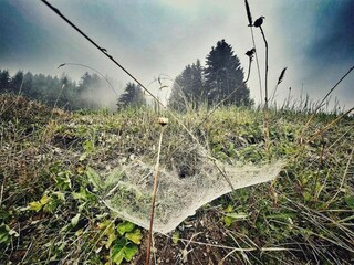 Appartement Silvretta Nova Environnement 48