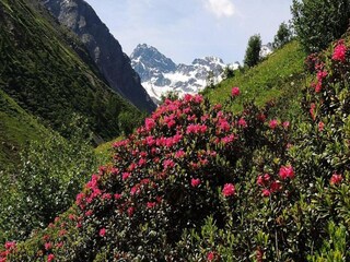Apartamento Silvretta Nova Entorno 36
