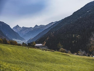 Appartement Silvretta Nova Omgeving 37
