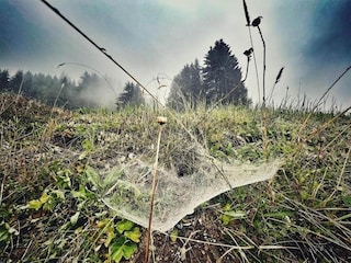 Apartment Silvretta Nova Umgebung 35