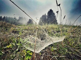 Appartement Silvretta Nova Omgeving 35