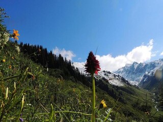 Appartement Silvretta Nova Omgeving 24