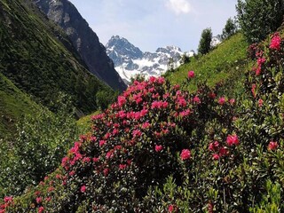 Appartement Silvretta Nova Omgeving 25