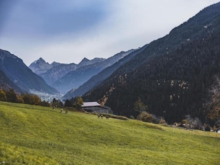 Apartamento Silvretta Nova Entorno 40