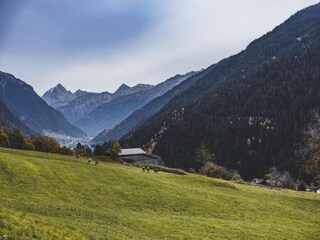 Appartement Silvretta Nova Omgeving 27