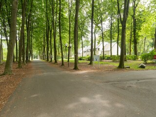 Chalet Helchteren Umgebung 28