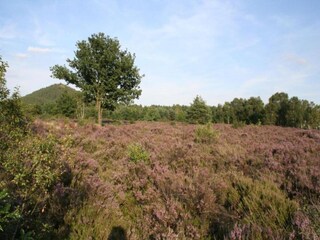Chalet Helchteren Umgebung 38