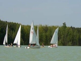 Chalet Helchteren Environnement 33