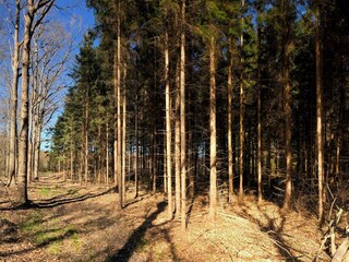 Vakantiehuis Enø  19