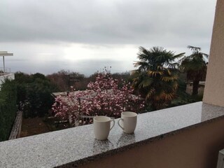 Appartement Matulji  32