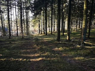 Ferienhaus Trend  10