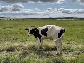 Casa de vacaciones Trend  10