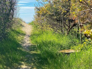 Holiday house Vejbystrand  18