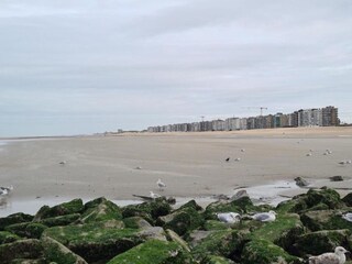 Apartamento De Panne Entorno 28