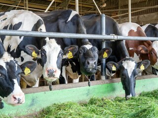 Casa de vacaciones Eibergen  39