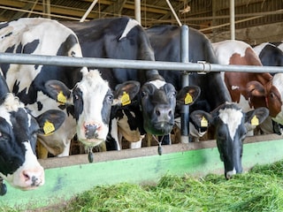 Casa per le vacanze Eibergen  39