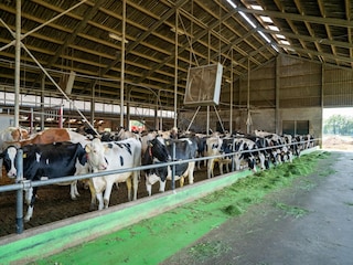 Vakantiehuis Eibergen  40