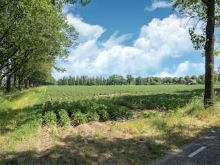 Maison de vacances Eibergen Environnement 28
