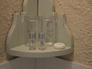 Vakantiehuisje Saint-Paul-du-Bois Kenmerken 22