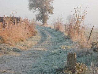 Vakantiehuisje Saint-Paul-du-Bois Omgeving 36