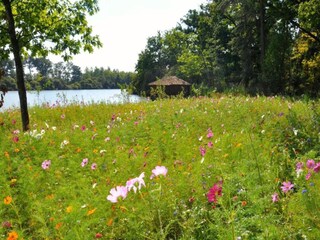Landhaus Saint-Paul-du-Bois Umgebung 37