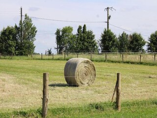 Casale Saint-Paul-du-Bois Ambiente 38