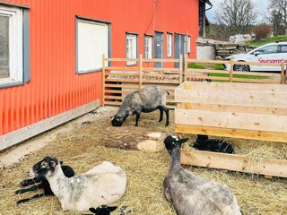 Vakantiehuis Boras  8