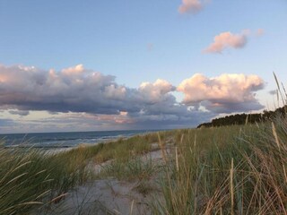 Casa de vacaciones Zingst Entorno 38