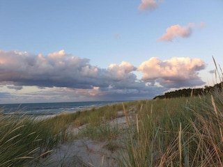 Holiday house Zingst Environment 39