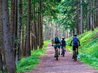 Appartement Pleśna Omgeving 25