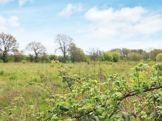 Ferienhaus Ærøskøbing  5