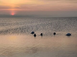 Vakantiehuis Ærøskøbing  42