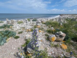 Vakantiehuis Højby  10