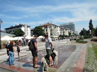 Vakantiepark Lubin Omgeving 44