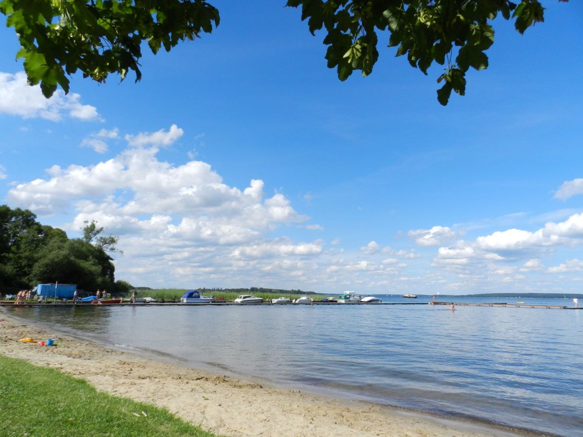 Singles plau am see