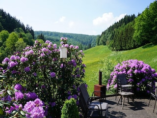 Holiday house Winterberg Outdoor Recording 6