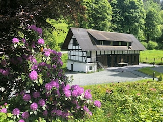 Ferienhaus Winterberg Außenaufnahme 7