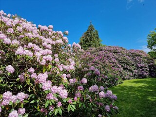 Casa per le vacanze Havnsø  37