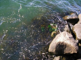 Maison de vacances Havnsø  31