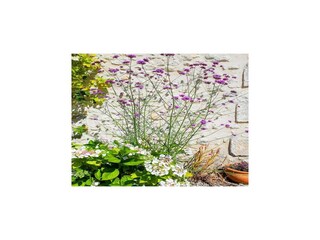 Casa per le vacanze Verteillac  40