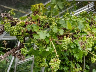 Vakantiehuis Tversted  38