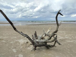 Vakantiehuis Tversted  26