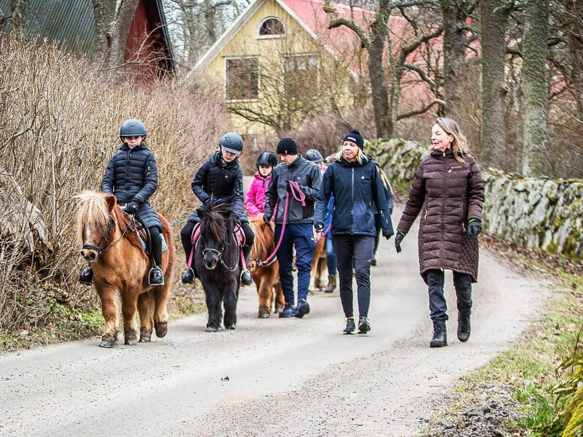 Ferienhaus Nättraby  14