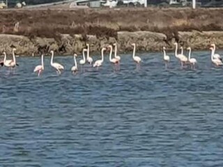 Appartement Cádiz Omgeving 18