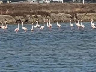 Apartment Cádiz Environment 20