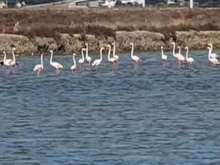 Appartement Cádiz Environnement 22